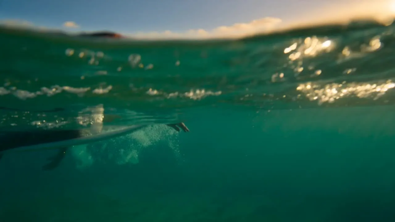 Surfer paddelt bei goldenem Abendlicht in eine türkisfarbene Welle